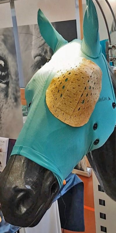 Pferd Augenabstandshalter VetMedCare