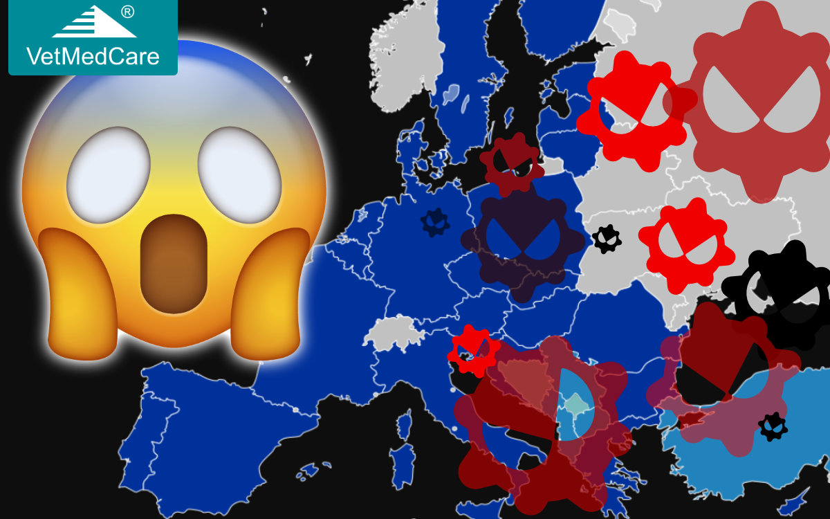 Shop Versand Corona Virus mit DPD