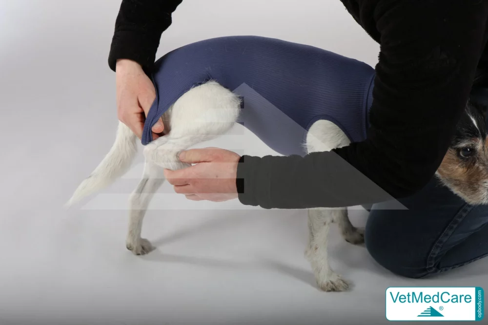 So wird der Body ausgezogen