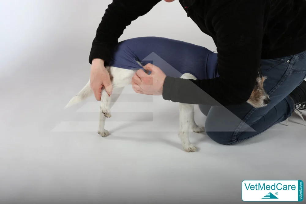 So wird der Body ausgezogen