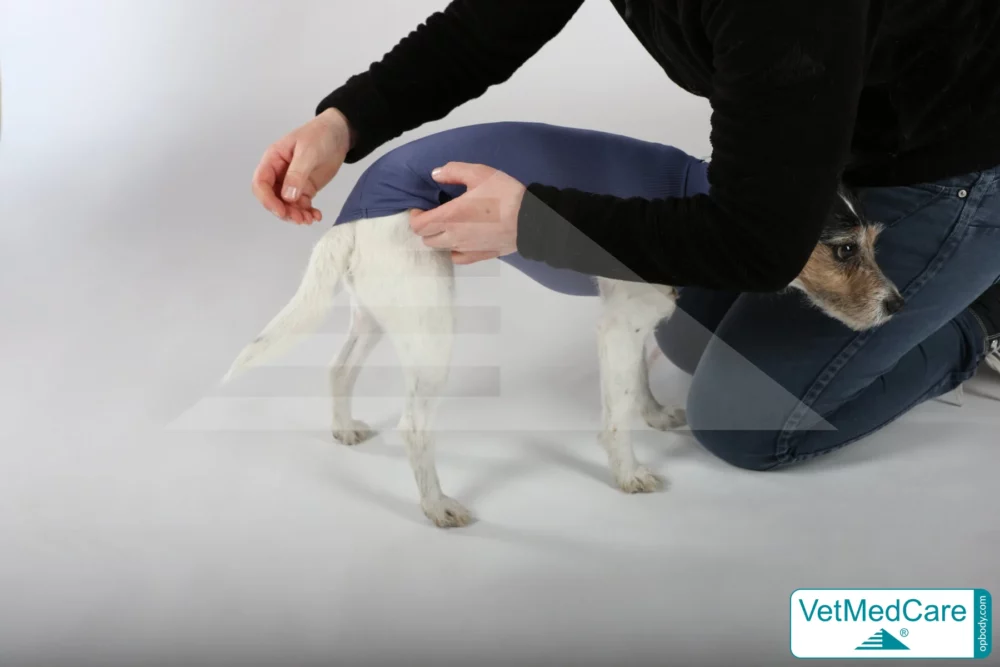 So wird der Body ausgezogen