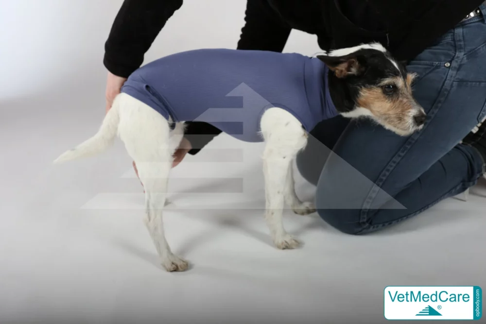 So wird der Body ausgezogen