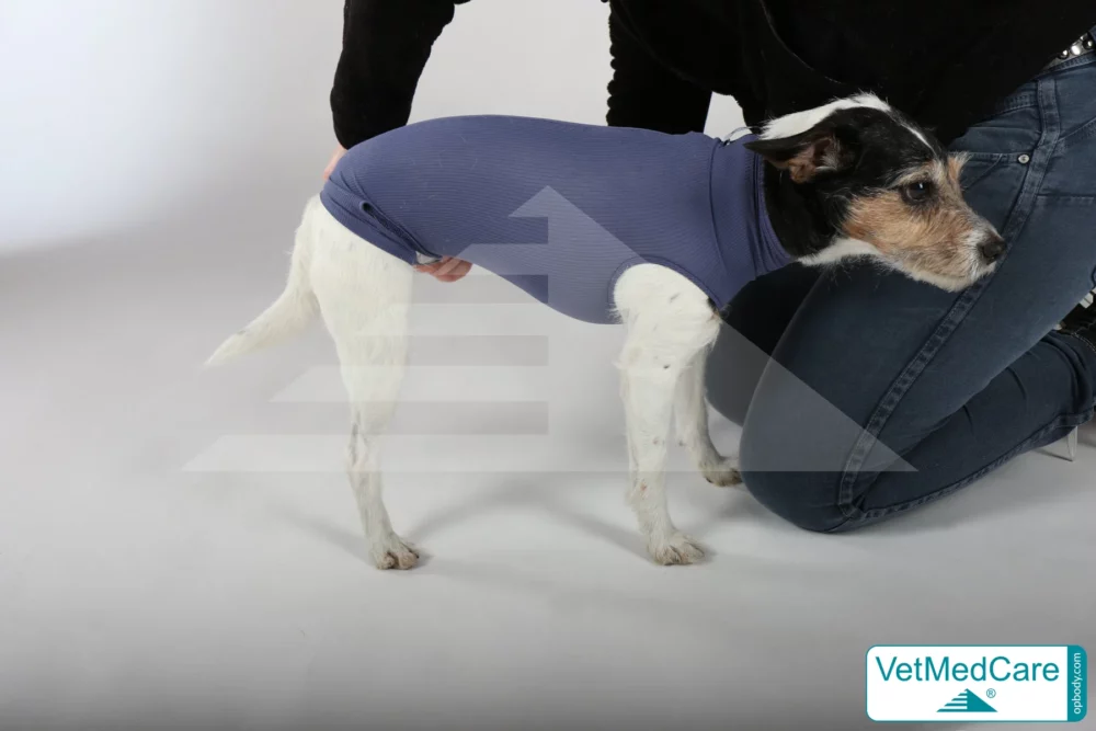 So wird der Body ausgezogen