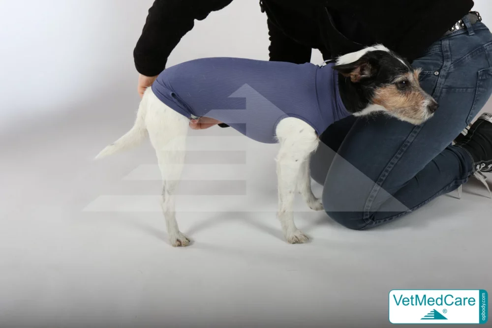 So wird der Body ausgezogen