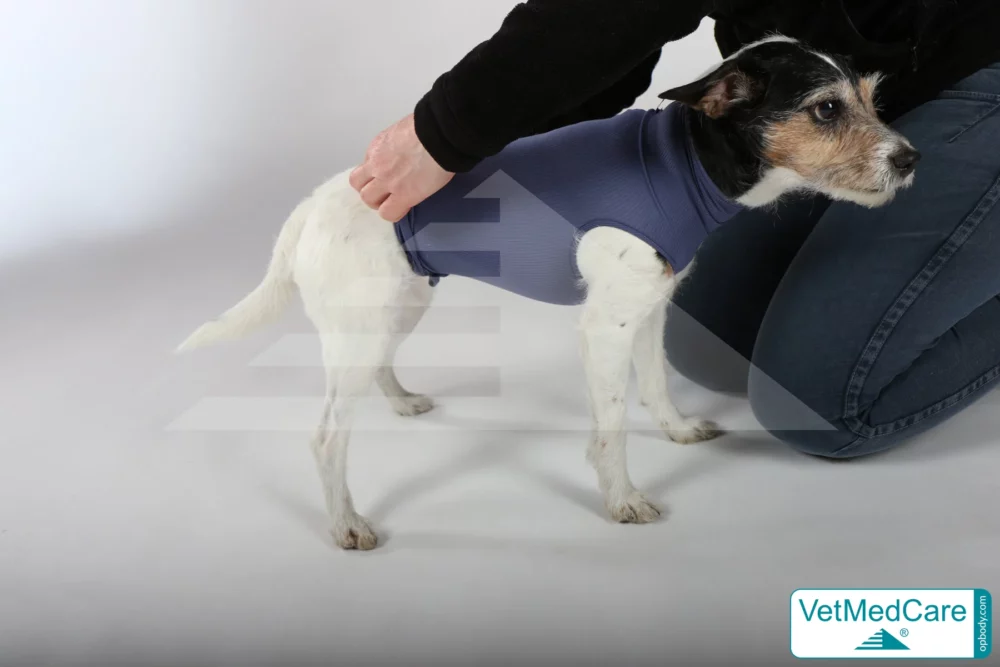 So wird der Body ausgezogen