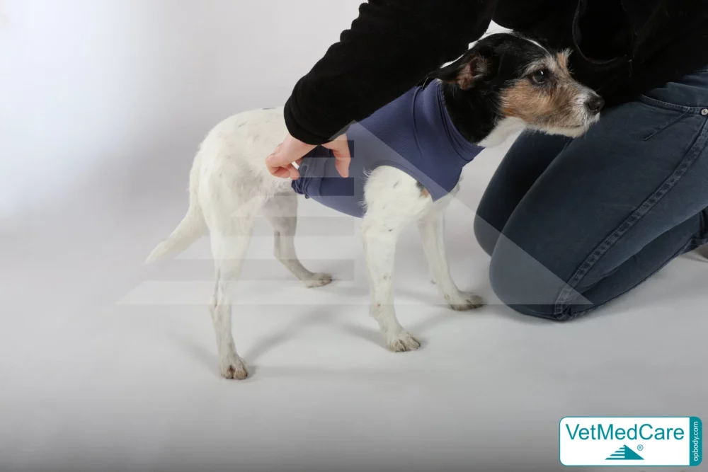 So wird der Body ausgezogen