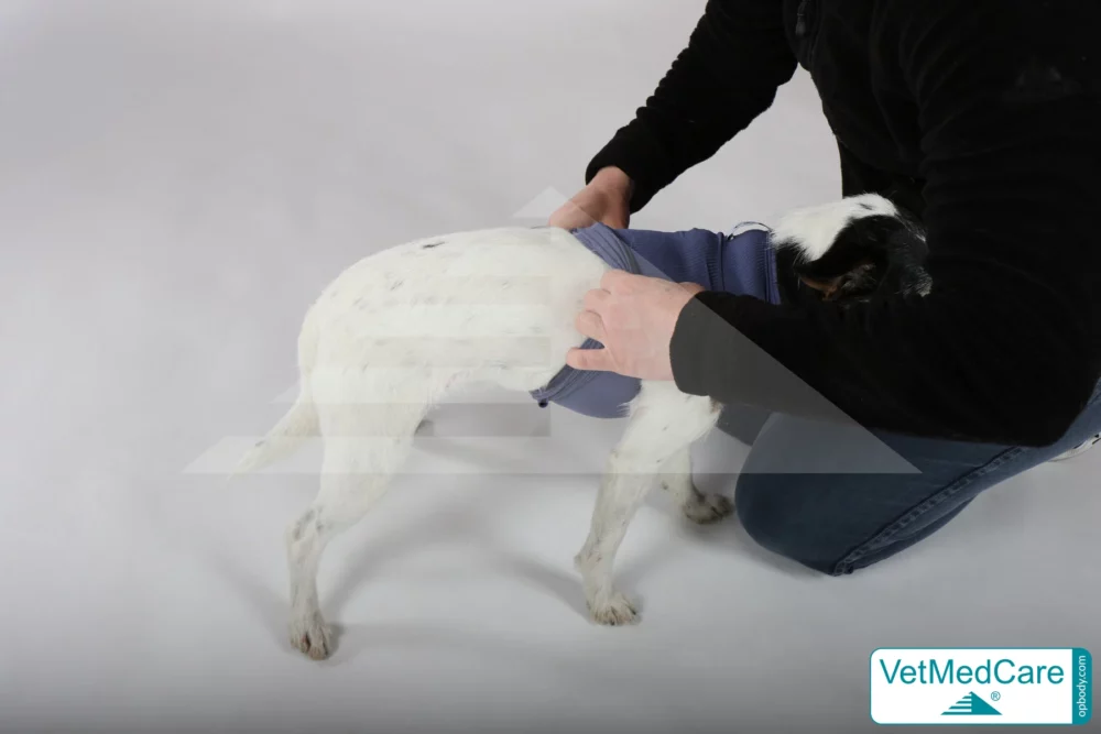 So wird der Body ausgezogen