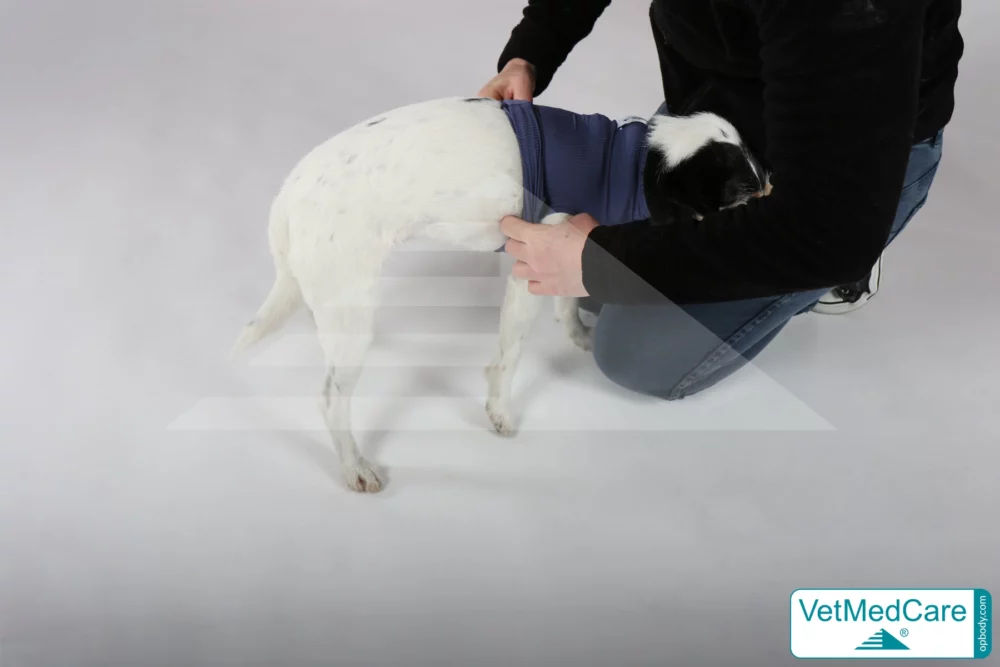 So wird der Body ausgezogen