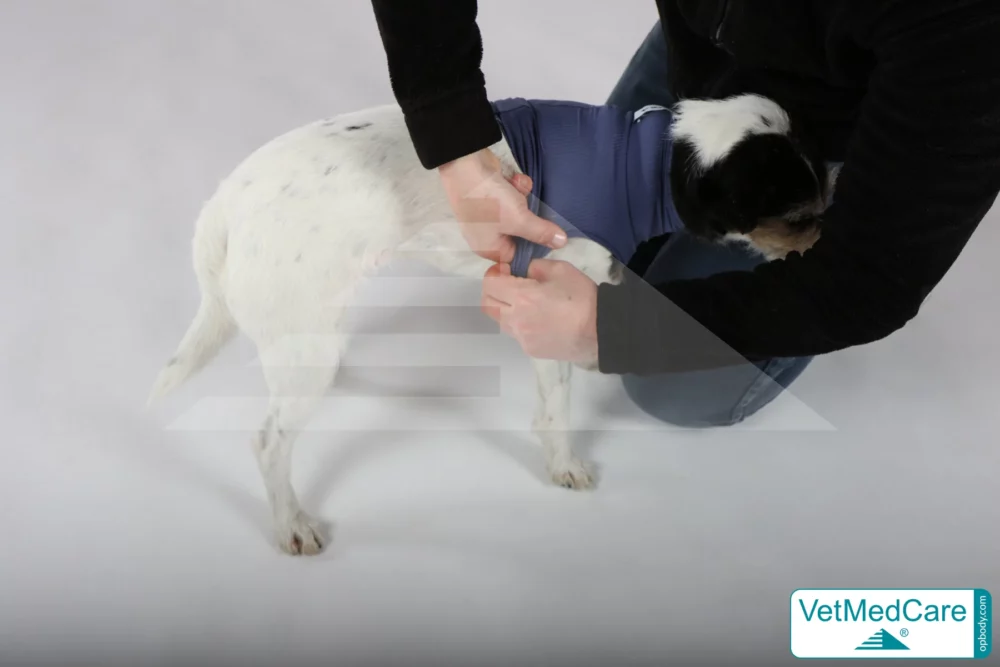 So wird der Body ausgezogen