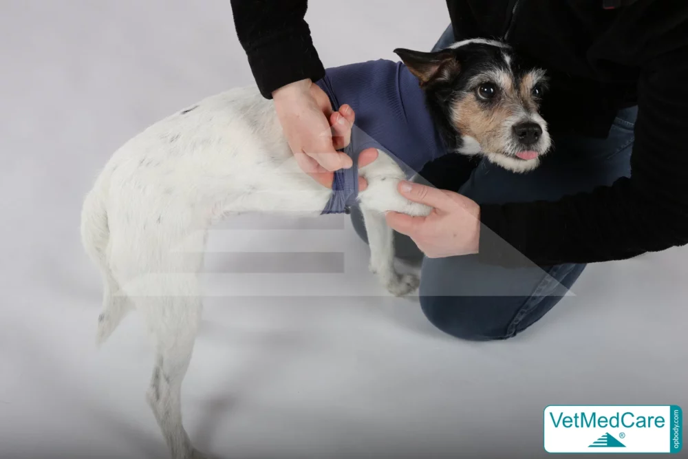 So wird der Body ausgezogen