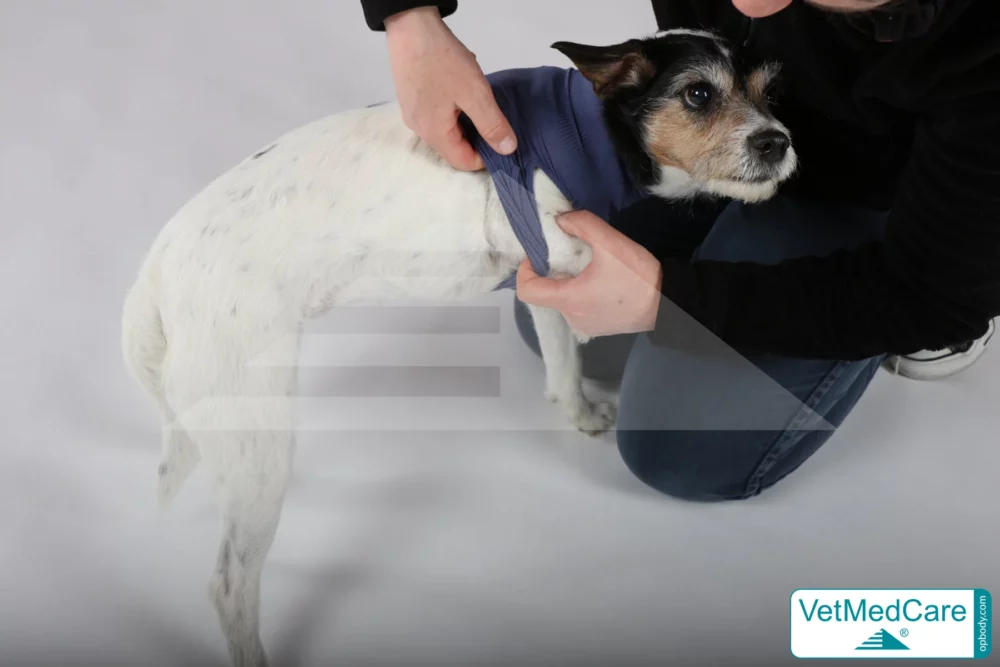 So wird der Body ausgezogen