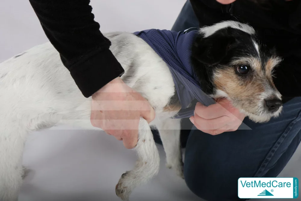 So wird der Body ausgezogen