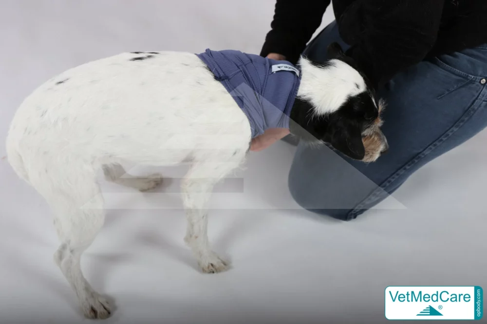 So wird der Body ausgezogen