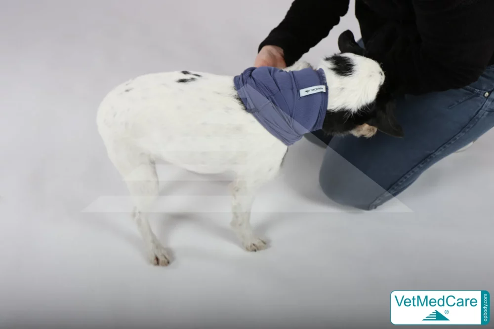 So wird der Body ausgezogen