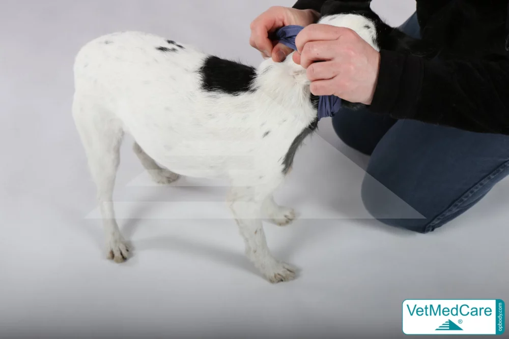 So wird der Body ausgezogen