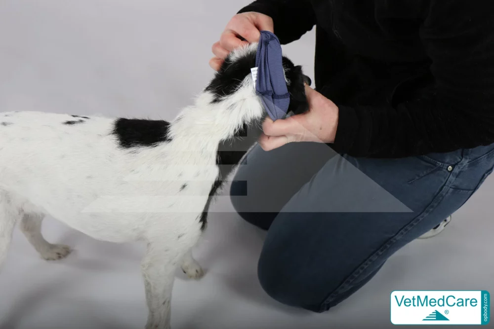 So wird der Body ausgezogen