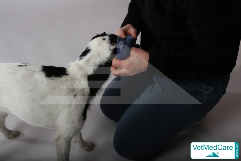 So wird der Body ausgezogen