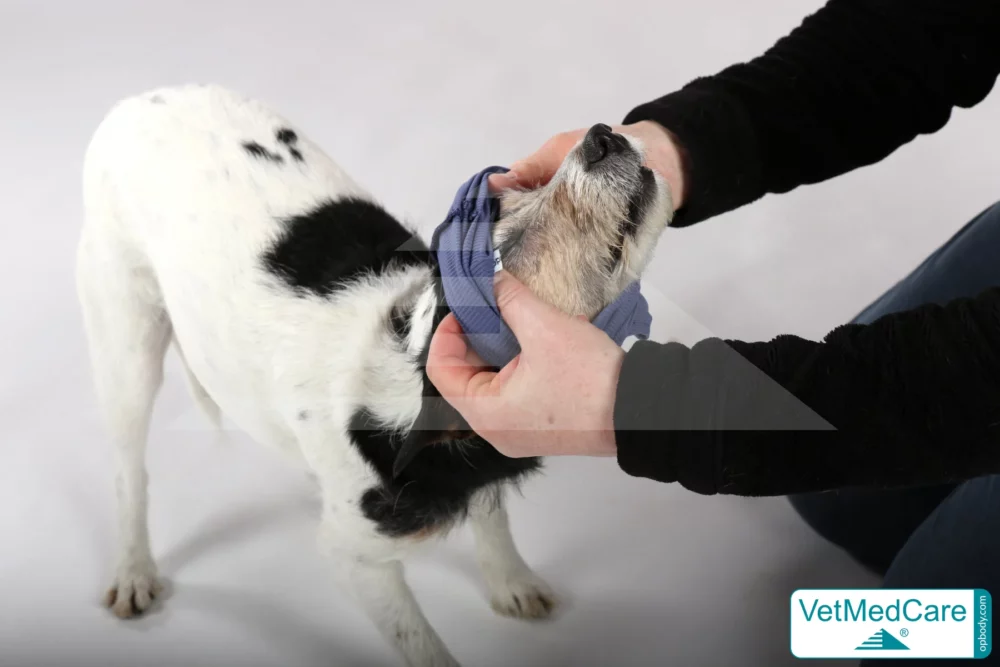 So wird der Body angezogen