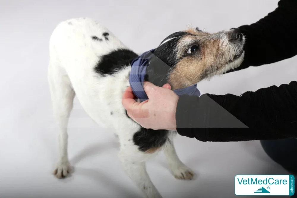 So wird der Body angezogen