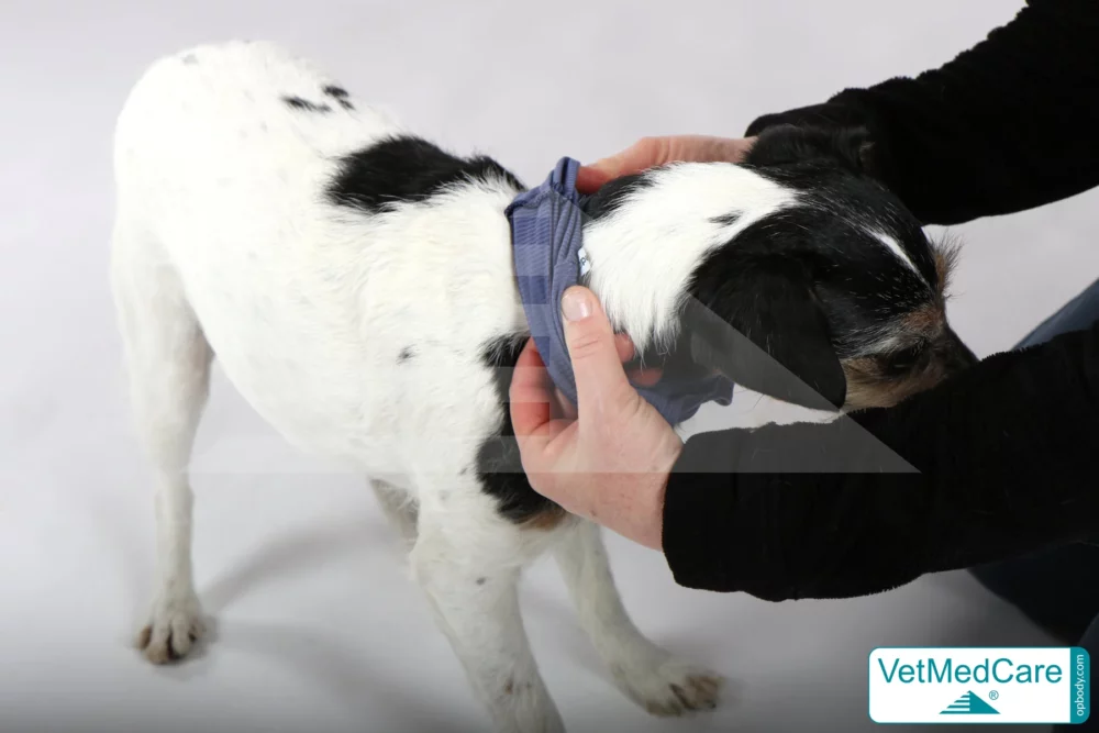 So wird der Body angezogen