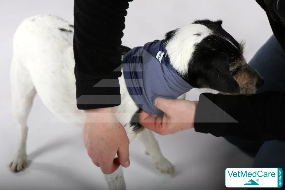 So wird der Body angezogen