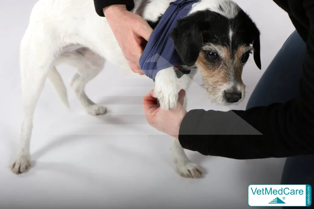 So wird der Body angezogen