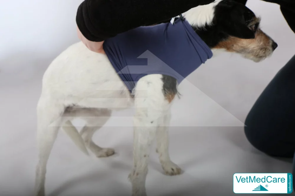 So wird der Body angezogen