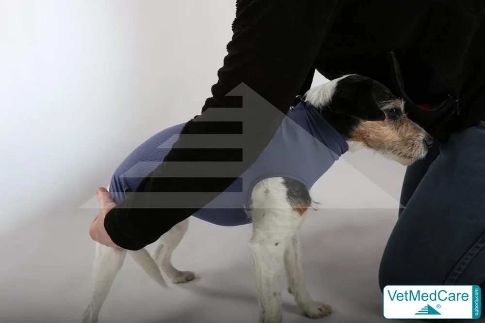 So wird der Body angezogen