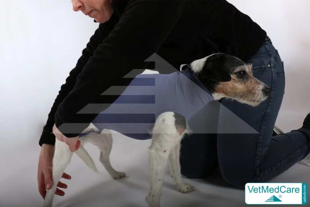 So wird der Body angezogen