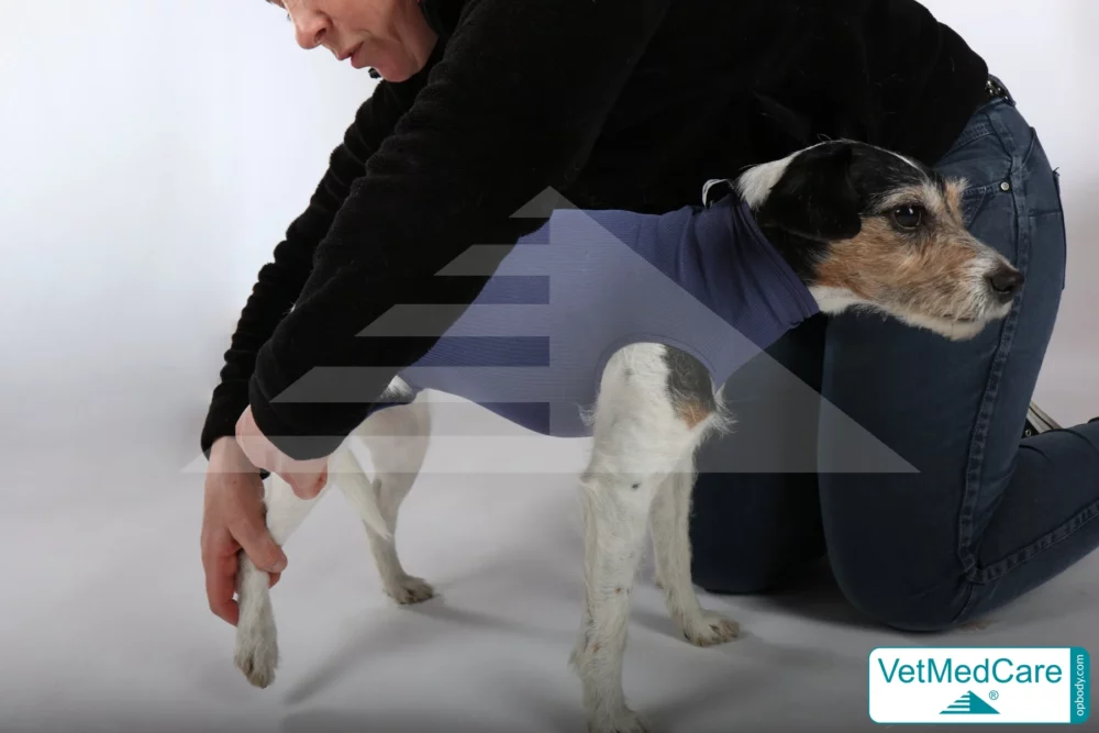 So wird der Body angezogen