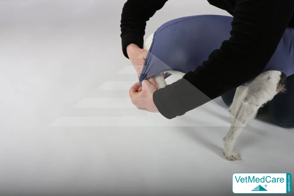 So wird der Body angezogen