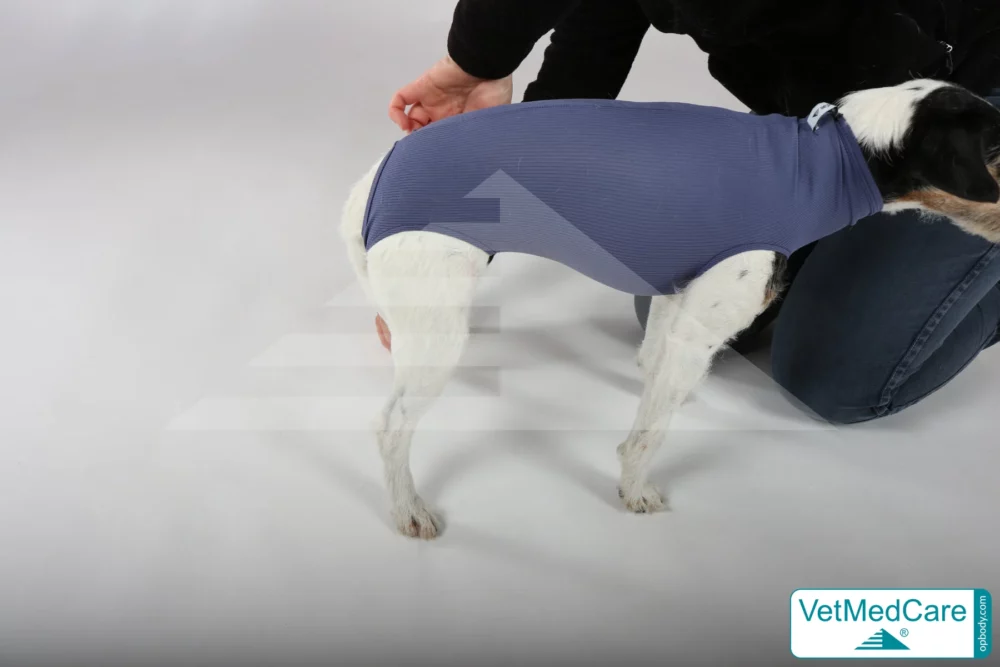 So wird der Body angezogen