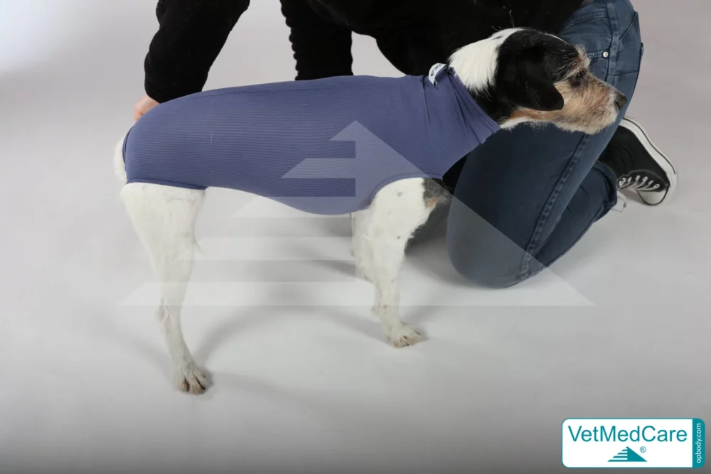 So wird der Body angezogen