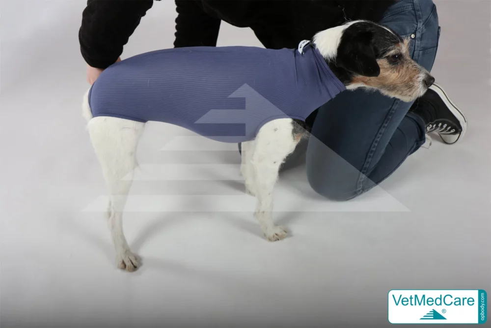 So wird der Body angezogen