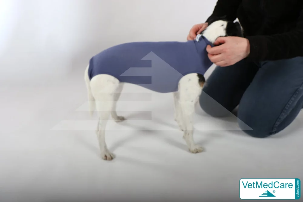 So wird der Body angezogen