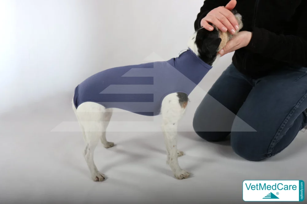 So wird der Body angezogen