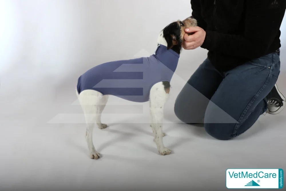 So wird der Body angezogen