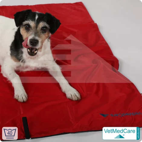 Animal Pad | stark isolierende Hundedecke Rot/Schwarz - auch für das Hundebett und Auto | VetMedCare®