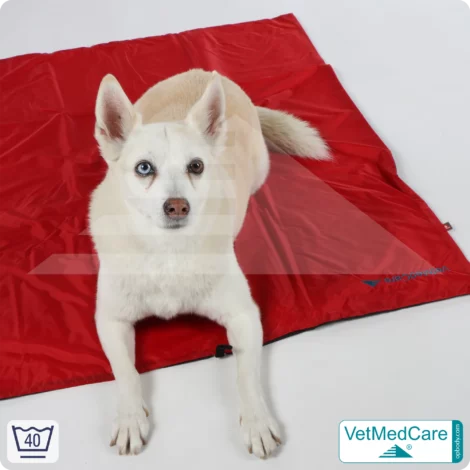 Animal Pad | stark isolierende Hundedecke Rot/Schwarz - auch für das Hundebett und Auto | VetMedCare®