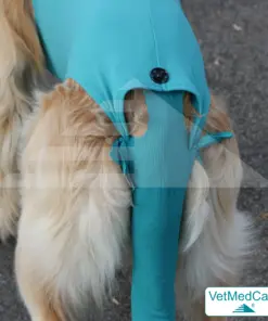 Druckknöpfe Set | schwarz | VetMedCare®