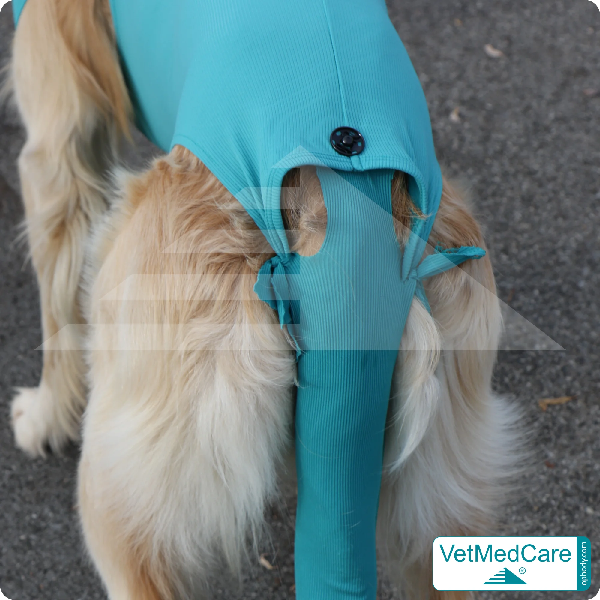 Druckknöpfe Set | schwarz | VetMedCare®