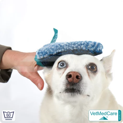 Handschuh als Hundebürste zur Fellpflege von Hund, Katze, Pferd und kurzhaariger Kleintiere | Grooming Glove | VetMedCare®