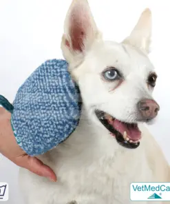 Handschuh als Hundebürste zur Fellpflege von Hund, Katze, Pferd und kurzhaariger Kleintiere | Grooming Glove | VetMedCare®