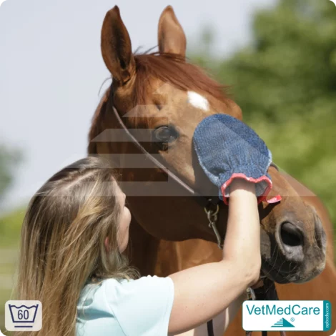 Handschuh als Hundebürste zur Fellpflege von Hund, Katze, Pferd und kurzhaariger Kleintiere | Grooming Glove | VetMedCare®