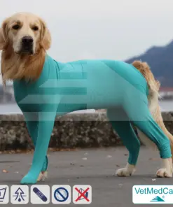 Hundebody Rüde mit Läufen | Ganzkörperbody speziell für den Rüden | VetMedCare®