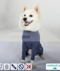 Alternative view of Hundebody Rüde mit Läufen | Ganzkörperbody speziell für den Rüden | VetMedCare®