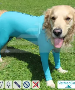 Hundebody mit Beinen + Reißverschluss | Hunde Body - Ganzkörperbody mit 4 Beinen | VetMedCare®