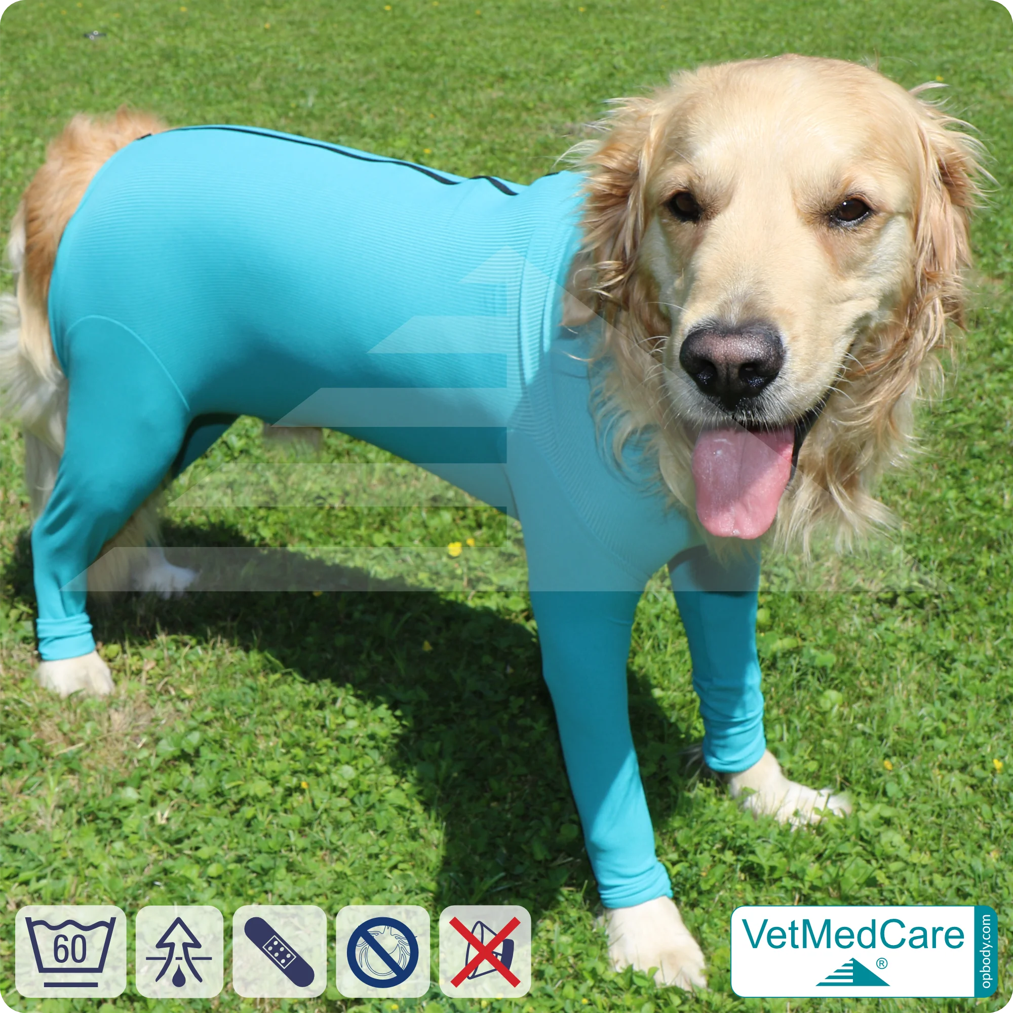 Hundebody mit Beinen + Reißverschluss | Hunde Body - Ganzkörperbody mit 4 Beinen | VetMedCare®