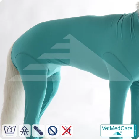 Hundebody für Hündin mit Läufen | Ganzkörperbody speziell für die Hündin | VetMedCare®
