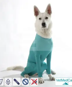 Hundebody für Hündin mit Läufen | Ganzkörperbody speziell für die Hündin | VetMedCare®